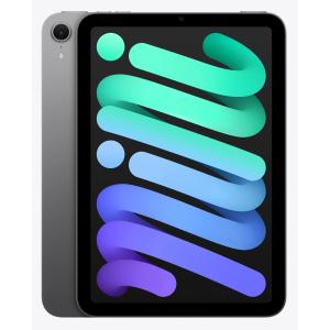 Tablette iPad mini Wi-Fi - 256 Go - Gris sidéral