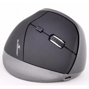 Souris ergonomique Rechargeable sans fil