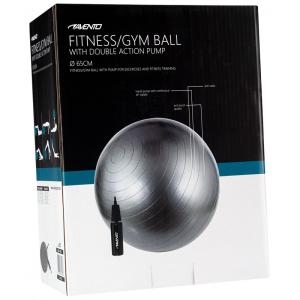 Ballon de gym SWISS BALL AVEC POMPE - M - 65 CM gris