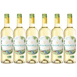 Vin blanc Sauvignon bio - 6 bout