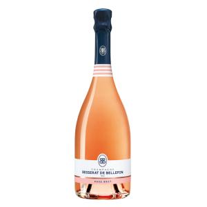 Champagne Rosé brut - 1 bout
