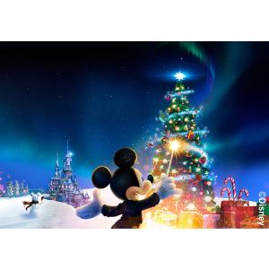 Billet Disneyland Paris Billet 1 jour 2 parcs
