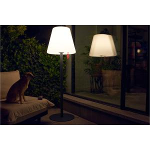 Lampe sur pied Edison the Giant anthracite