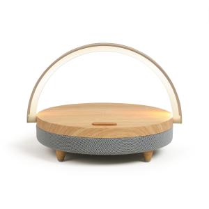 Enceinte LED Chargeur à induction