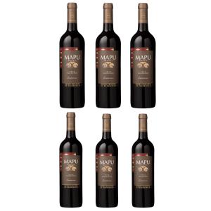 Vin rouge Carmenere - 6 bout