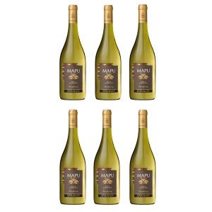 Vin blanc Chili Chardonnay - 6 bout