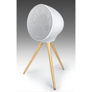 Enceinte bluetooth Sur pied Splash Proof