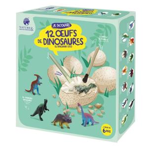 Jeux Coffret oeufs dinosaures à excaver