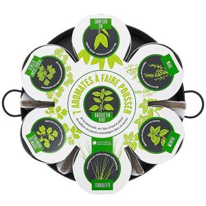 Plantation 7 aromates sur plateau