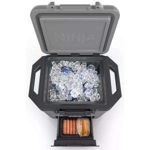 Glacière 28L FROSTVAULT gris