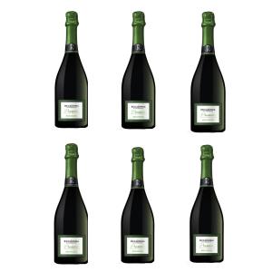 Prosecco Millesimato BIO - 6 bout