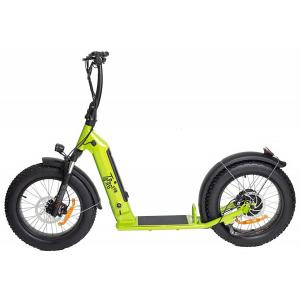 Trottinette Electrique Tapageur tout chemin