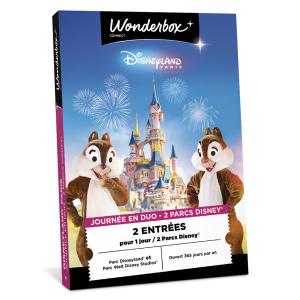 Coffret cadeau Disneyland Paris 1J / 2 pers